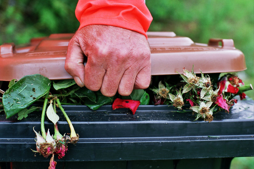 Biotonne im Sommer
